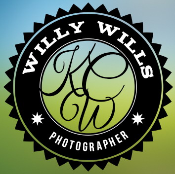 willywills logo